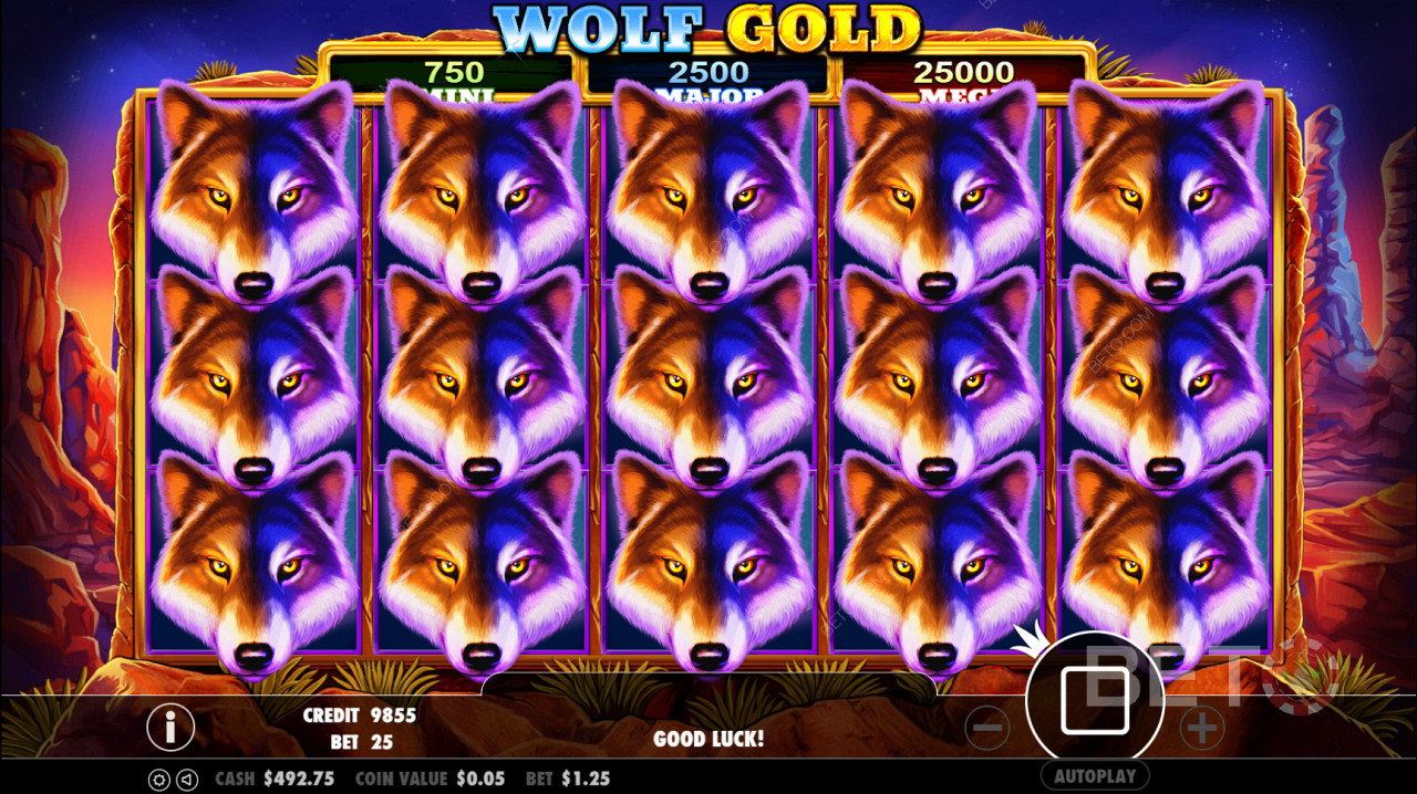 Scatter-symbolen Wolf Gold utlöser Free Spin-rundan.
