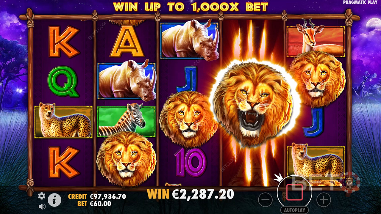 Safari King (Pragmatic Play)  Spela Gratis