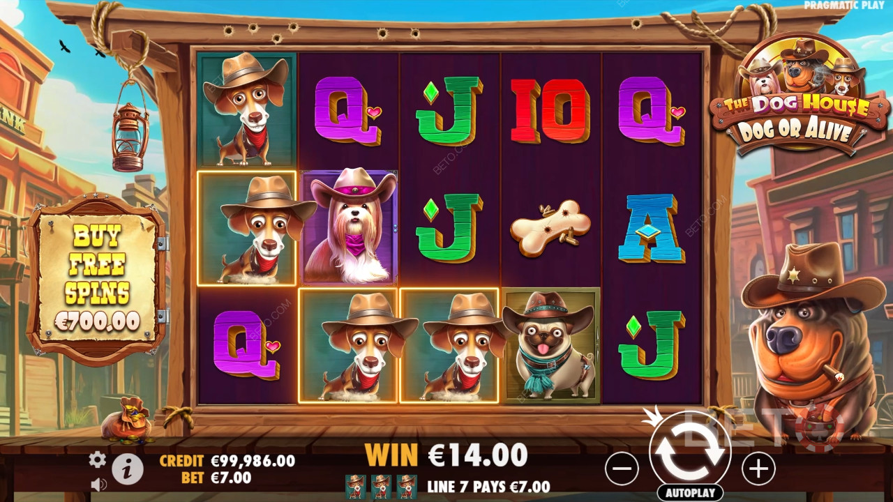 Tema & design: Wild West Dogs