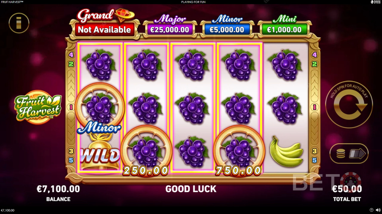 Bonusfunktioner förklaras i Fruit Harvest by Rarestone Gaming