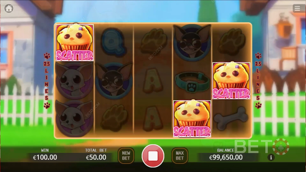 Chihuahua Party Spela Gratis