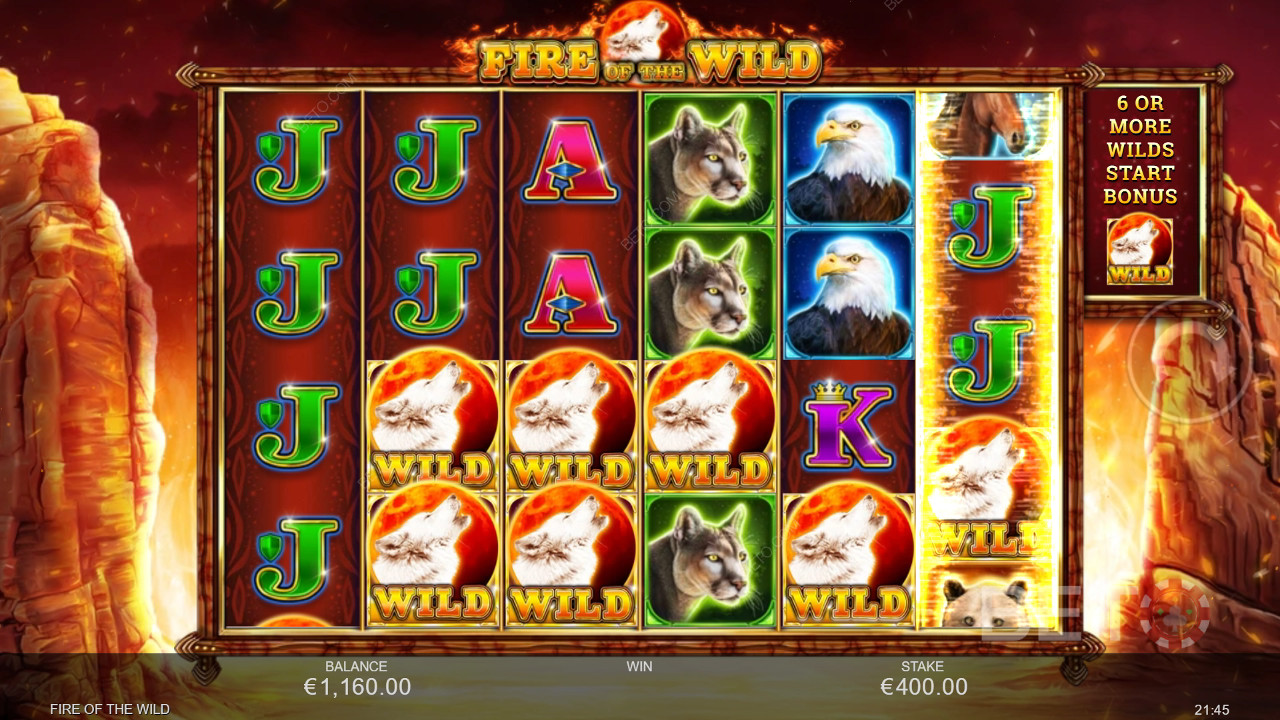 Fire of the Wild Spela Gratis