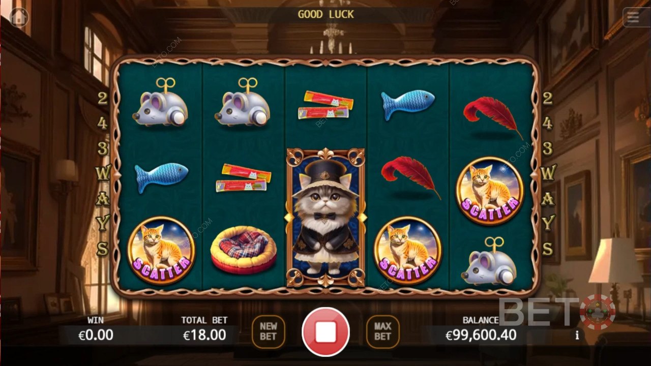 Noble Cat Review av BETO Slots