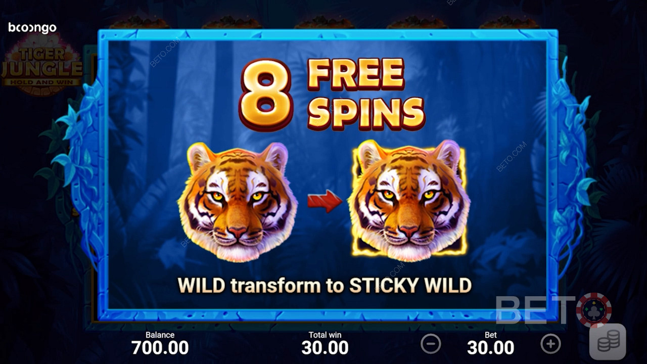 Du får 8 Free Spins och alla wilds blir Sticky Wilds under Free Spins-rundan.