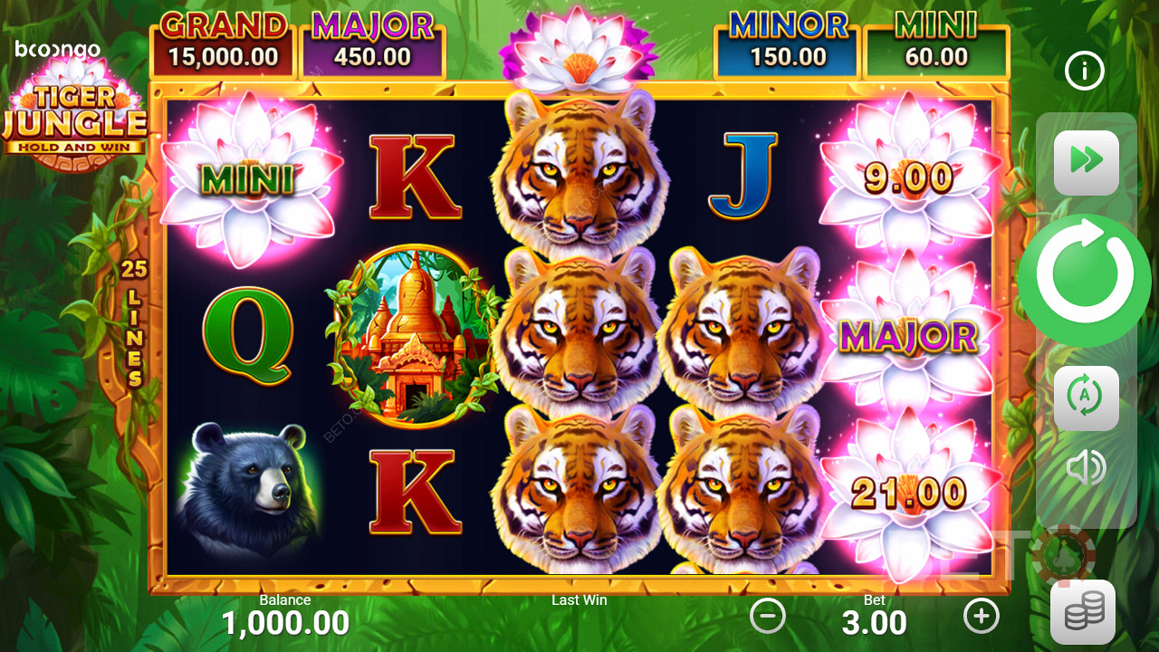 Spelare kan vinna 4 olika jackpottar under Bonus Game-omgången i den här spelautomaten