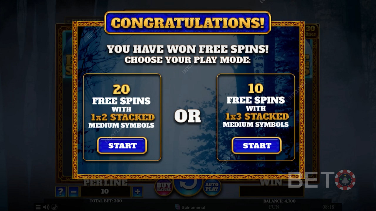 Aktivera Free Spins-läget och välj mellan 2 typer av Free Spins-bonusar.