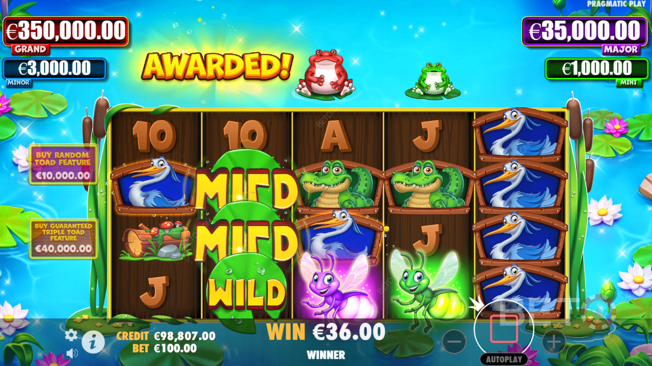 Tiny Toads Spela Gratis