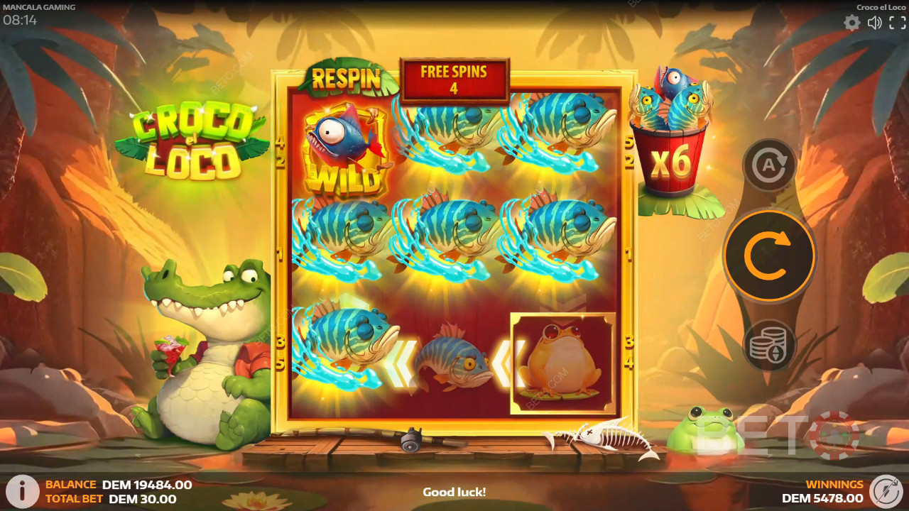 Croco el Loco Review av BETO Slots