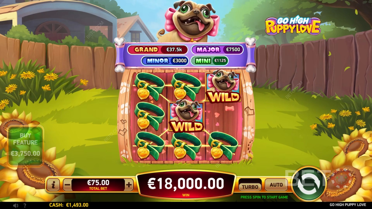 Go High Puppy Love Spela Gratis
