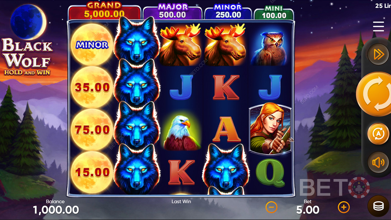 Jakt på riktiga kontantpriser i de majestätiska djunglerna i spelautomaten Black Wolf