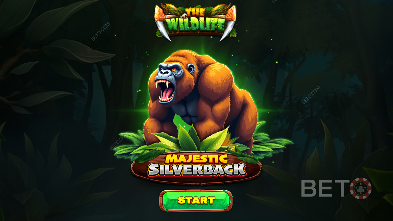 Bonusfunktioner förklaras i Majestic Silverback av Spinomenal