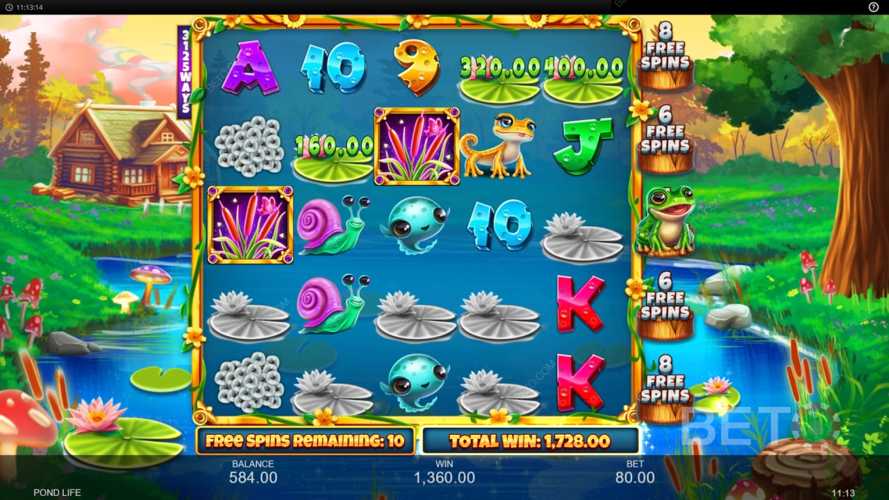 Bonusfunktioner förklarade i Pond Life av Inspired Gaming