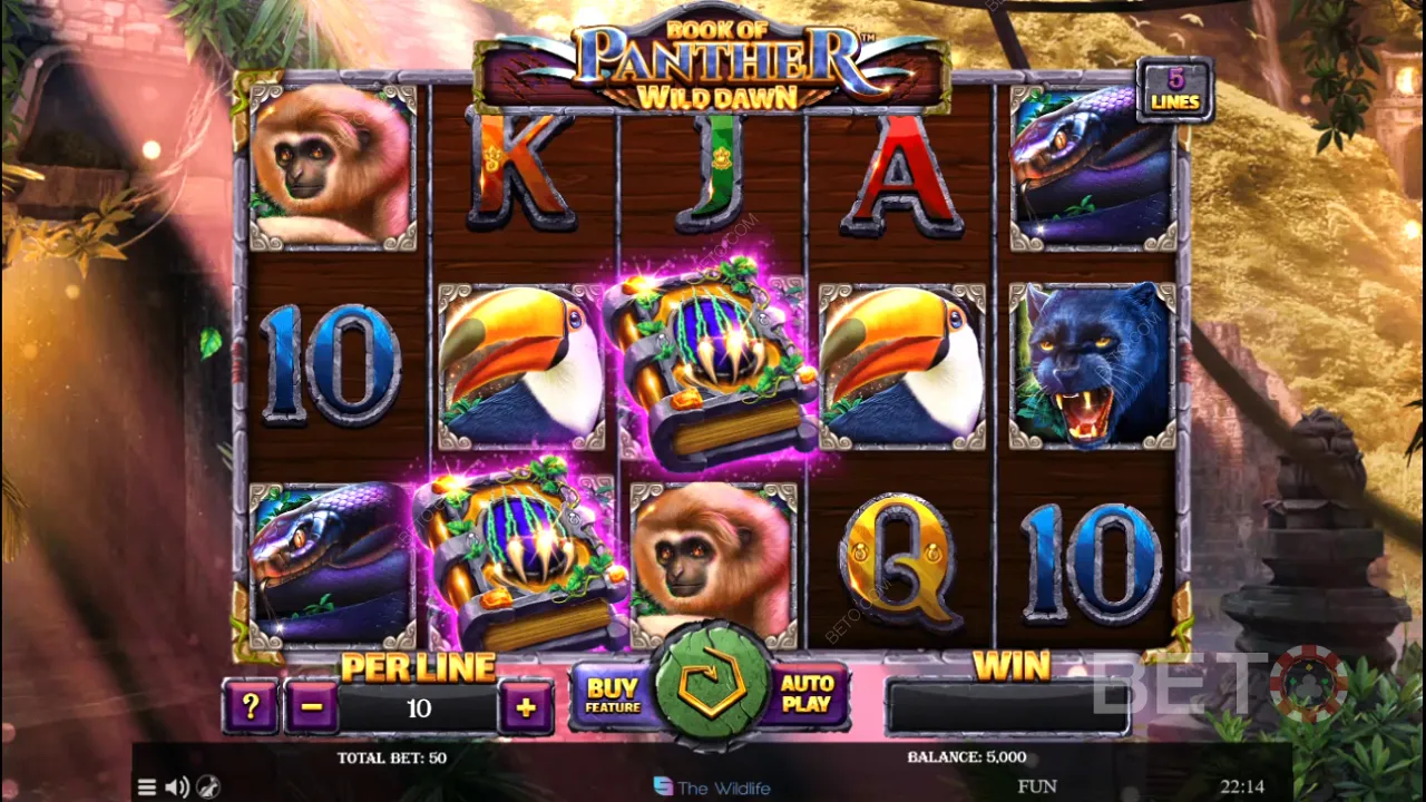 Spelet i Book of Panther Wild Dawn video slot