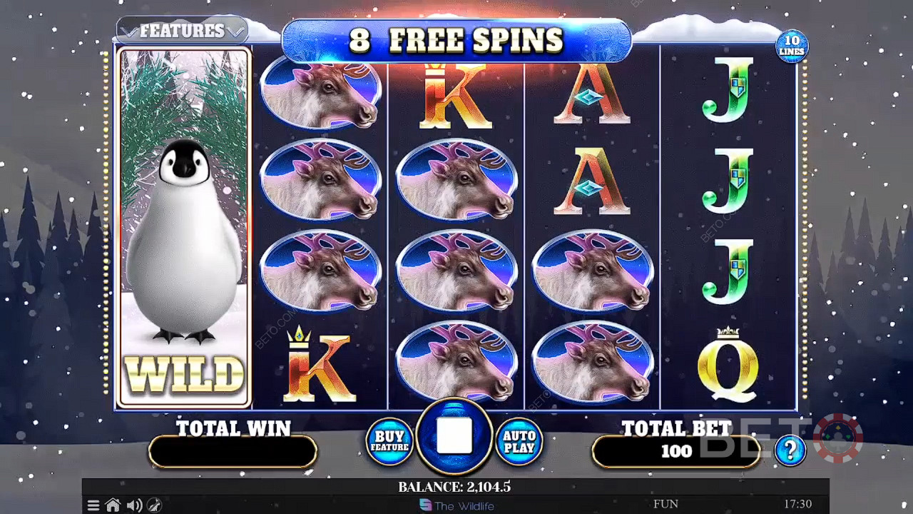 Wild Penguin Spela Gratis