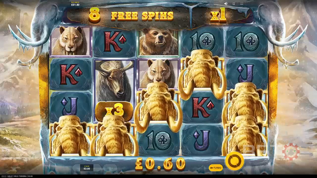 Wild Tundra Spela Gratis