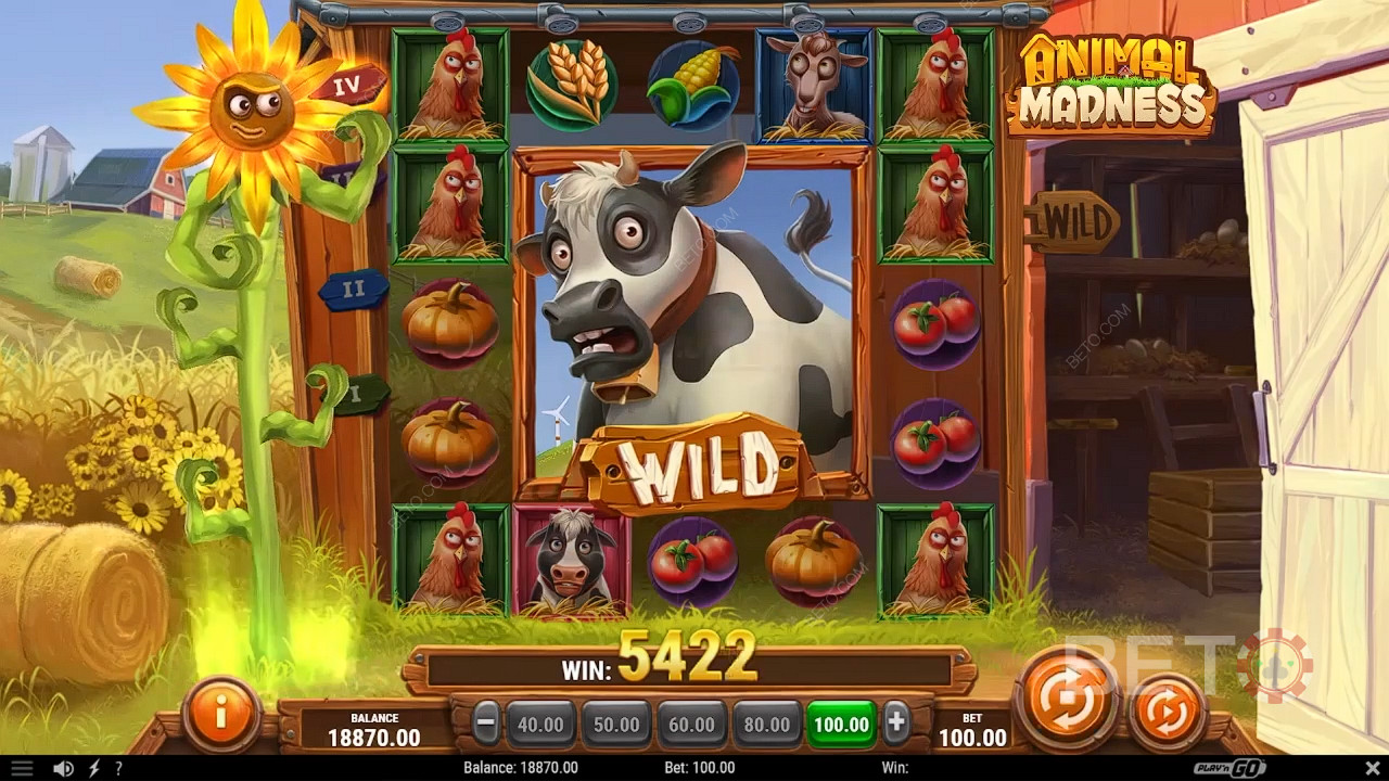 Animal Madness Spela Gratis