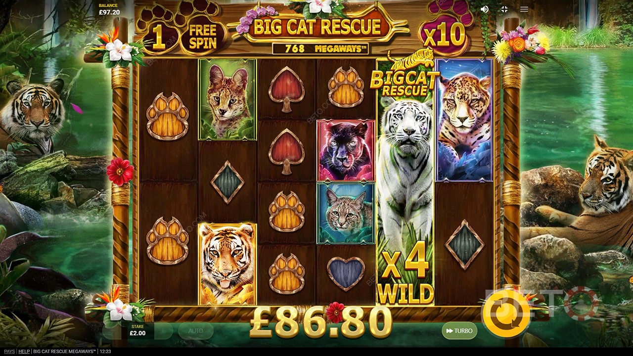 Big Cat Rescue Megaways Review av BETO Slots