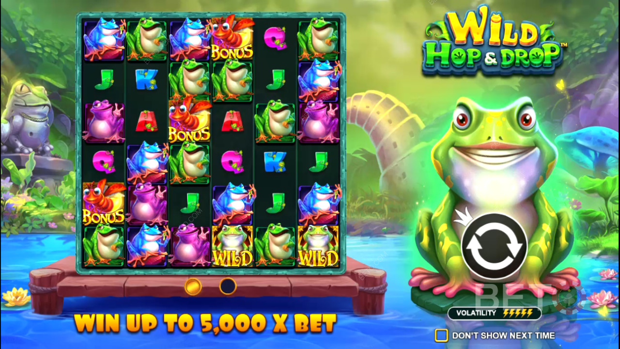 Wild Hop and Drop Online Slot - Vårt utlåtande
