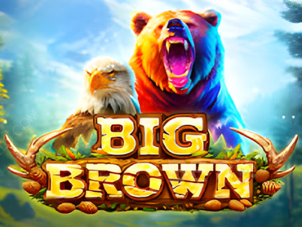 Big Brown Demo