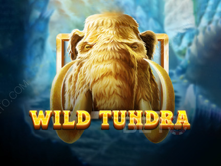 Wild Tundra Demo